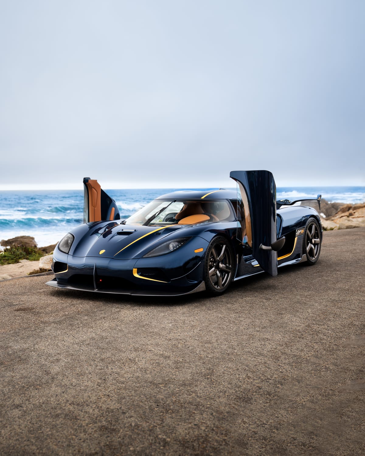BLUE CARBON AGERA RS — cover