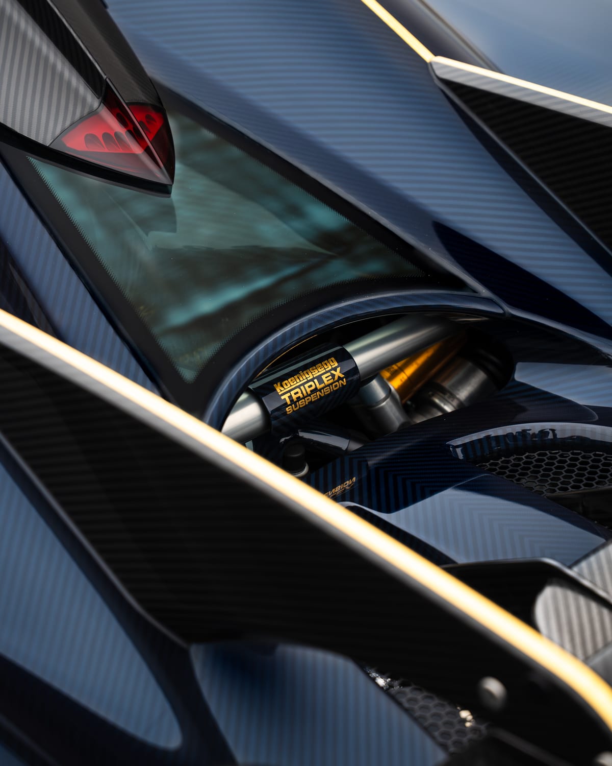 BLUE CARBON AGERA RS — Detail c