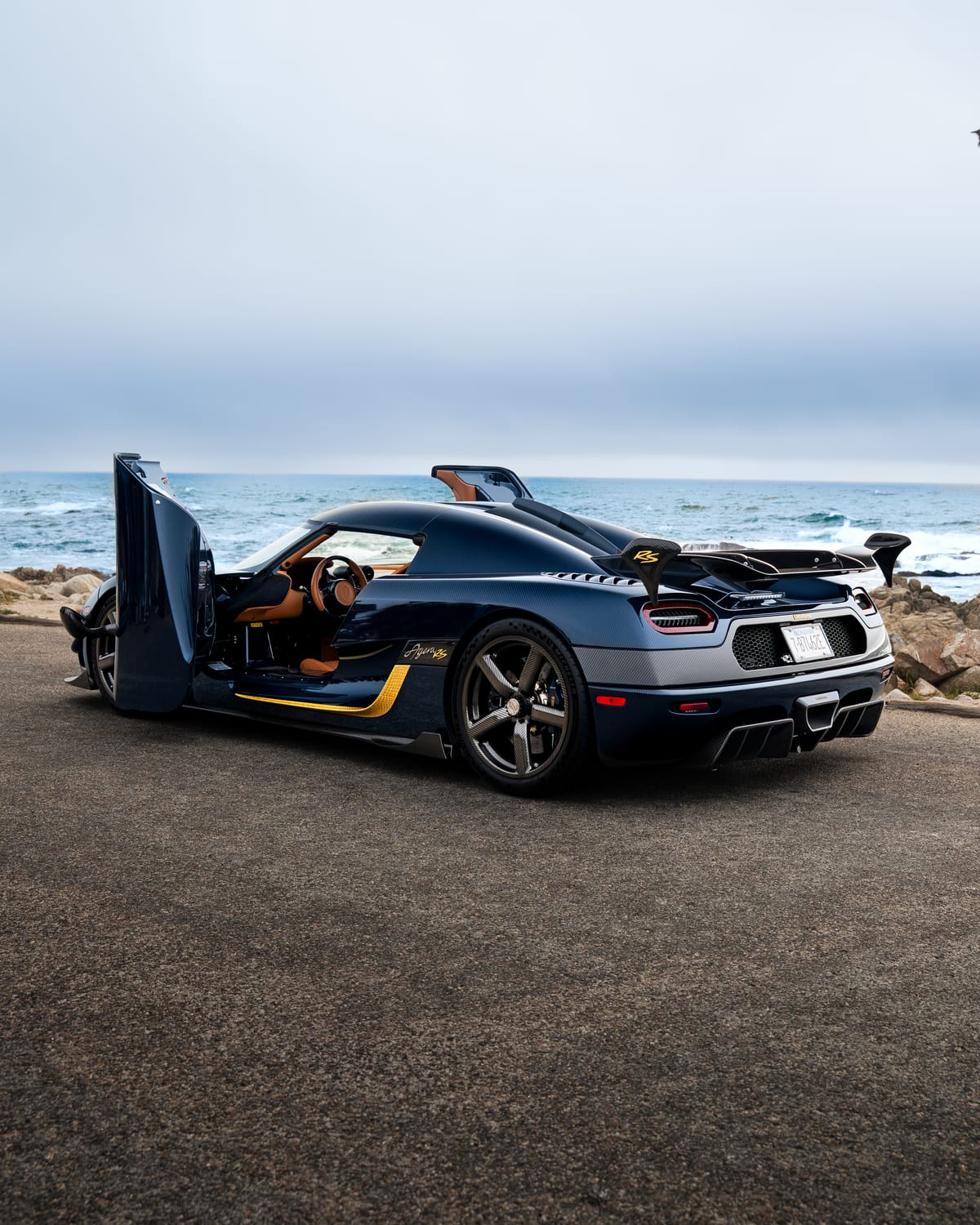 BLUE CARBON AGERA RS — Side
