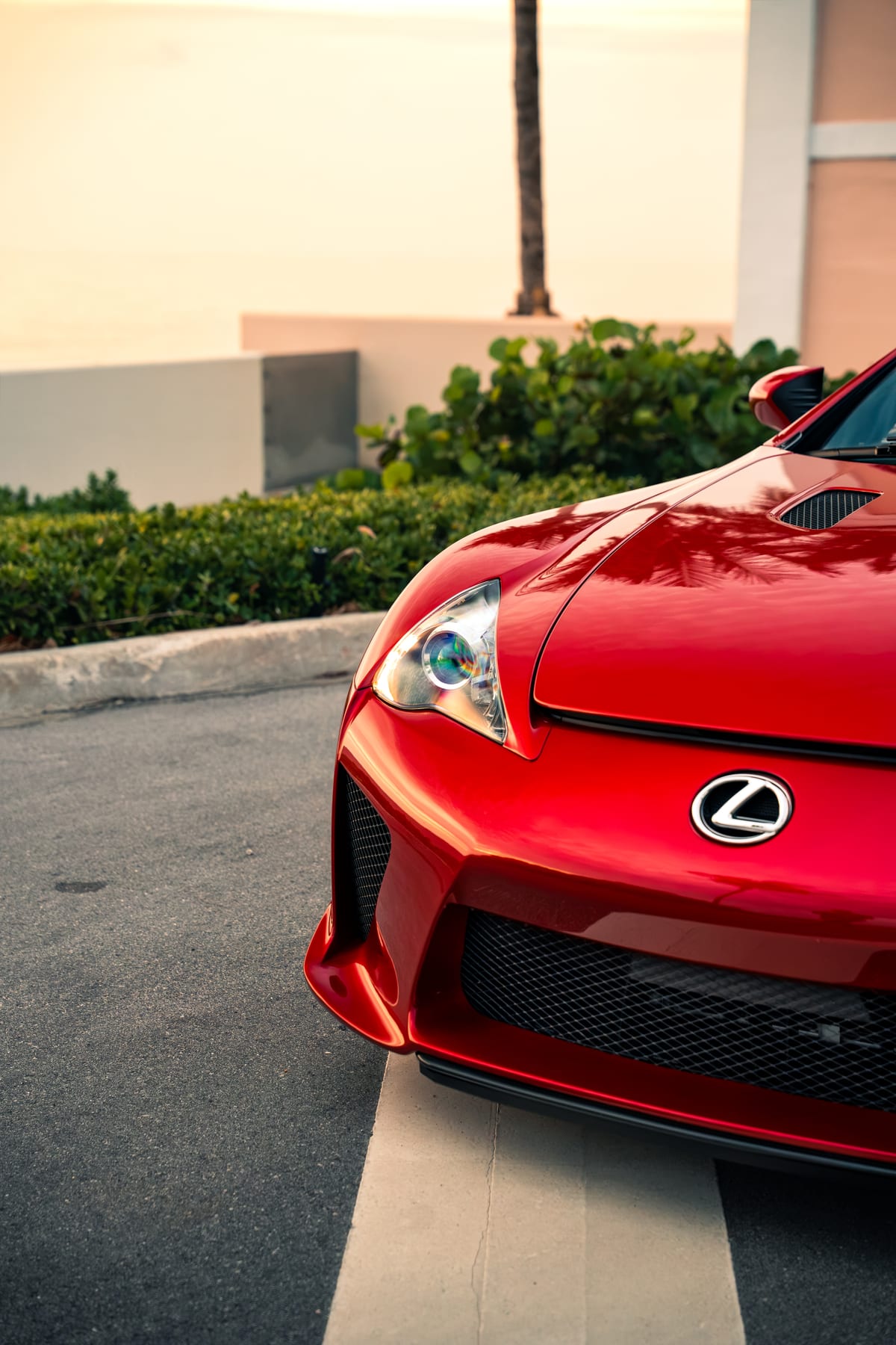 LEXUS LFA PASSION PROJECT — Badge a